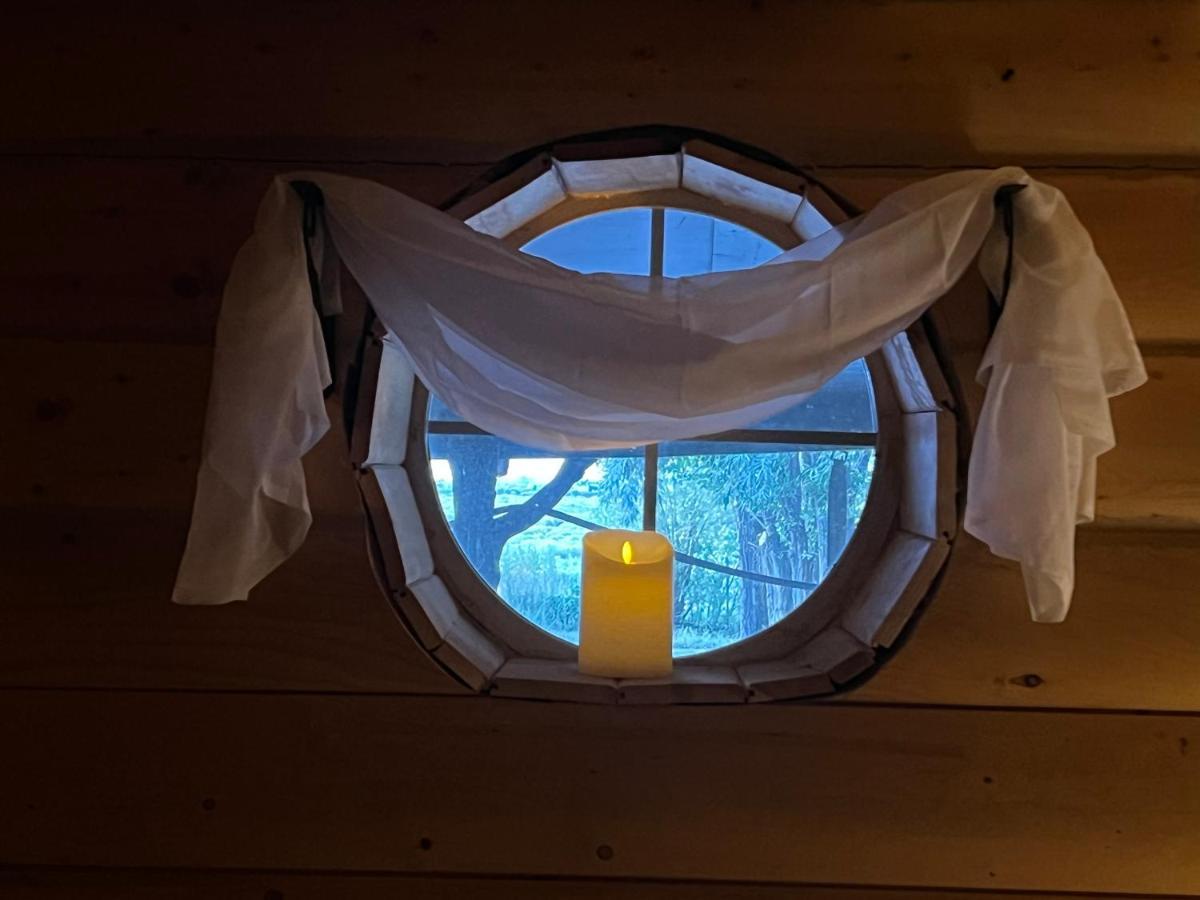 The Gratitude Homestay Alamosa Exteriör bild