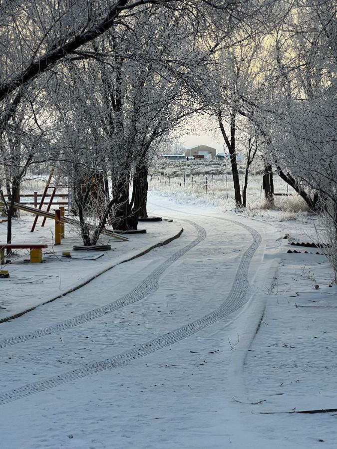 The Gratitude Homestay Alamosa Exteriör bild