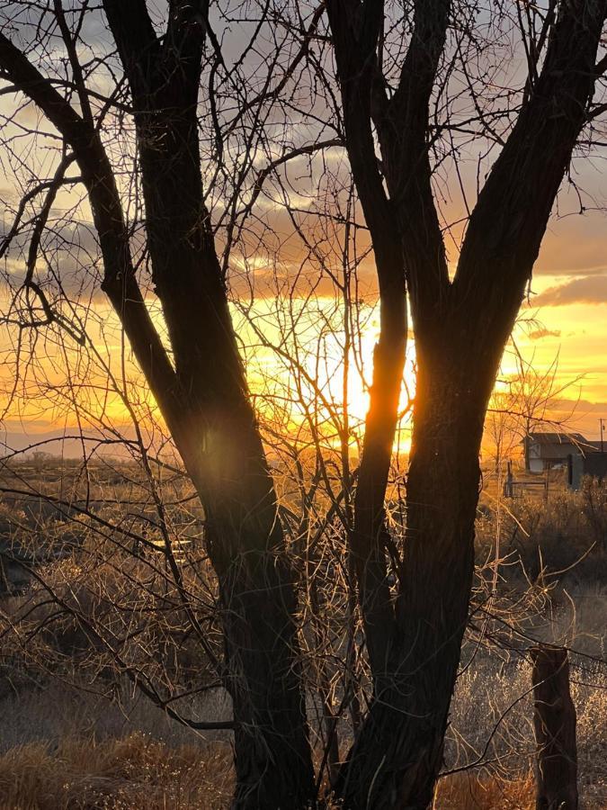 The Gratitude Homestay Alamosa Exteriör bild